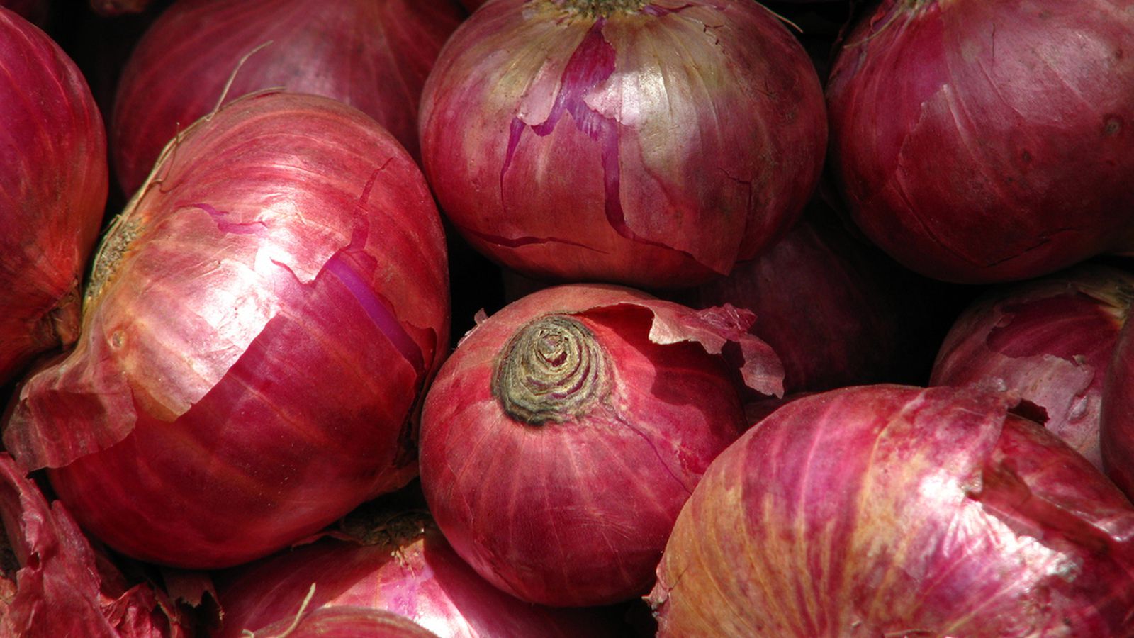 Fresh Onions